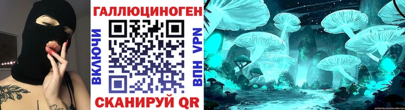 где найти   Сольцы  Псилоцибиновые грибы MAGIC MUSHROOMS 